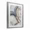 Stupell Industries Crystal Geode with Gold Framed Print Under Glass, design by Svetlana Aleynikova